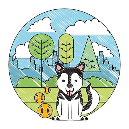 Veterinary Care and Preventive Health Measures