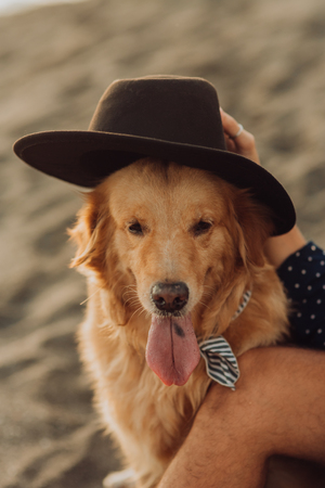 Signs of Illness in Small Pets: When to See a Veterinarian