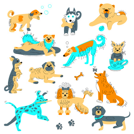 Lessons Parents Can Learn from Pet Owners