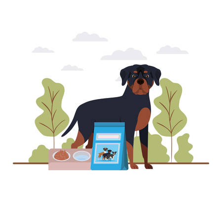Pros and Cons of Standard Dog Leashes
