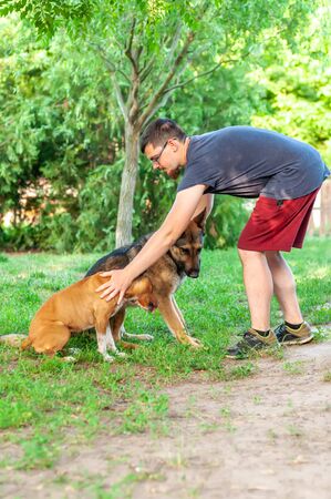Pet Insurance for Senior Pets: Is It Too Late to Get Coverage?