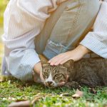 Creating a Sleep-Friendly Environment: Tips for Setting Up the Perfect Resting Space