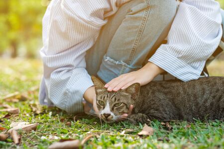 Creating a Sleep-Friendly Environment: Tips for Setting Up the Perfect Resting Space