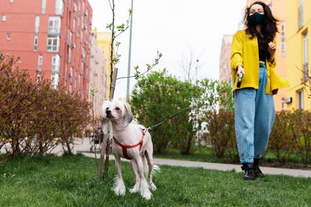 Dog-Friendly Jogging and Running Tips: Building Endurance Safely