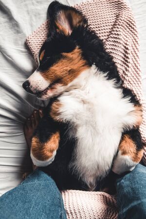 Odor Control: How to Keep Your Small Pet Smelling Fresh