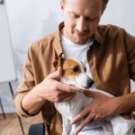Choosing the Right Vet for Your Small Pet: What to Look For