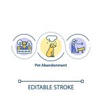Routine and Consistency: How They Help Shape Your Cat’s Behavior