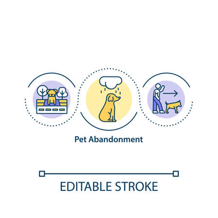 Routine and Consistency: How They Help Shape Your Cat’s Behavior