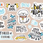 Natural Remedies for Common Small Pet Ailments