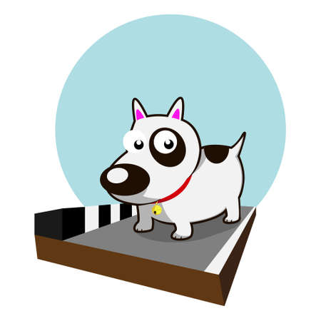 Effective Cleaning Routines for Pet Owners