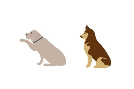 How Herd Immunity Relates to Pet Vaccinations