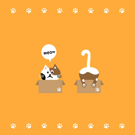 How to Choose the Right Toys for Your Cat
