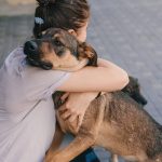 Comparing General Vets vs. Specialist Vets: What You Need to Know