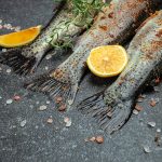 Special Diets for Specific Fish Species: What Your Pet Fish Needs