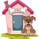How to Prevent Your Pet from Escaping: Secure Fences, Gates, and Windows