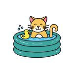 Understanding Your Cat’s Play Preferences: How to Pick the Perfect Toy