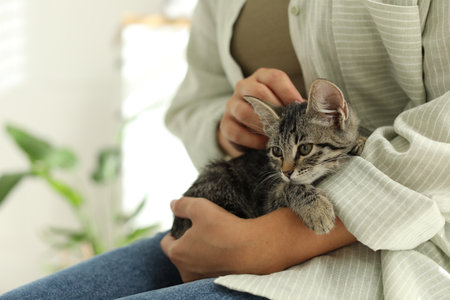 The Healing Power of Therapy Cats: What Makes Them So Special?