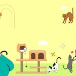Encouraging Play and Foraging Behavior: Mental Stimulation for a Happy Bird