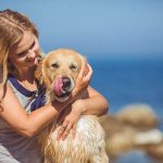 The Ultimate Guide to Pet Grooming Products: Essentials for Every Pet Owner