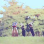 Training a Rescue Dog: Special Considerations and Tips