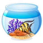 Breeding Fish in a Home Aquarium: Tips and Best Practices