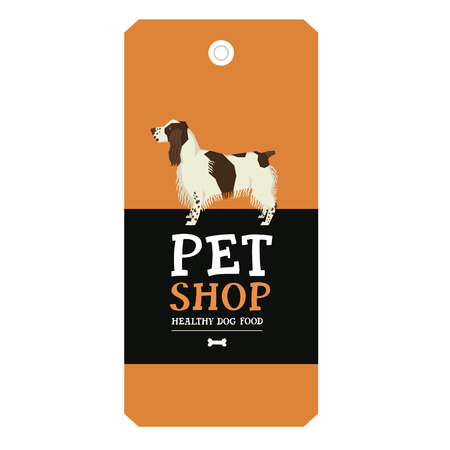 Feeding Adult Pets: Maintaining Health and Energy