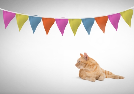 Managing Pet Personalities and Behaviors