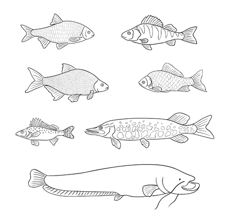 Types of Parasites in Saltwater Fish
