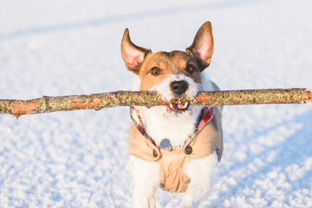 Seasonal Grooming Tips: Adjusting Your Routine for Hot and Cold Weather