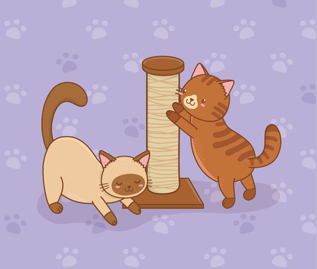 Types of Toys and Enrichment Activities