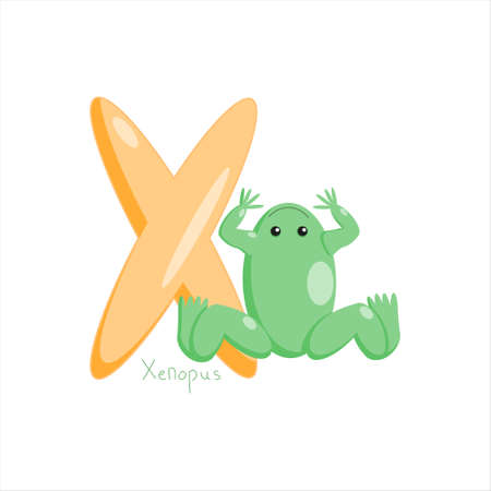 Feeding Schedules and Portion Control