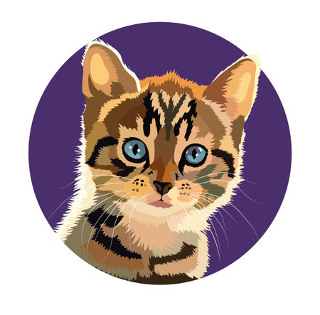 How to Socialize a Shy or Fearful Cat