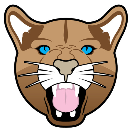 How Often Should You Clean Your Cat’s Ears?