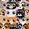 Catnip Toys: How They Affect Your Cat and the Best Brands to Try