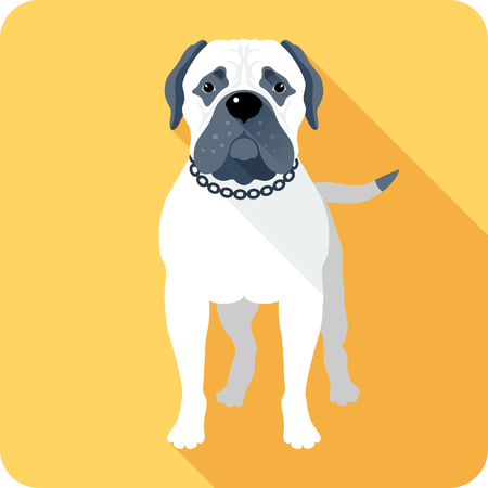 Home Grooming Tools and Techniques