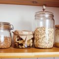 Understanding Carbohydrates in Cat Food: Are They Necessary?