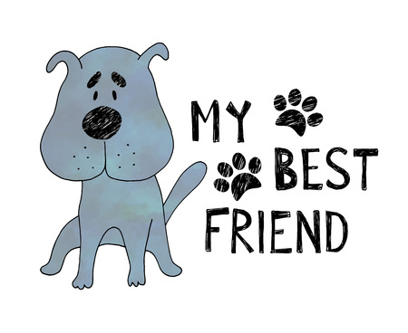 How to Minimize Pet-Related Allergens in Your Home While Keeping It Cozy
