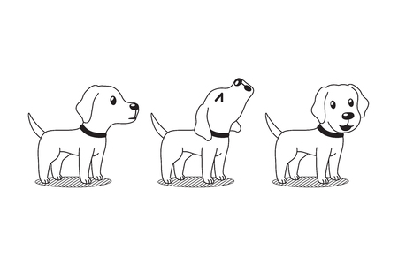 Leveraging Local Pet Communities and Farmers Markets