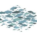 New Trends in Aquarium Medicine: How Science is Advancing Fish Health