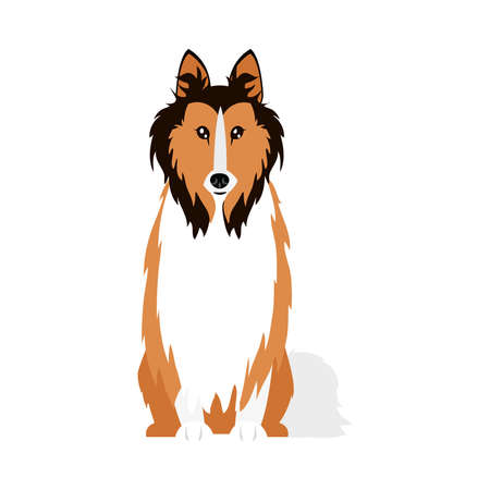 Teaching Your Dog to Sit