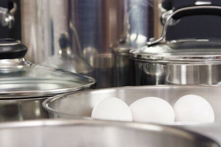 Pet-Proofing Your Kitchen: Keeping Food and Toxins Out of Reach