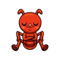 The Dangers of Fleas and Ticks: Prevention and Treatment