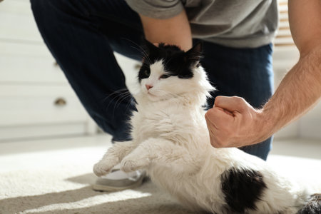Best Treats for Small Pets: What’s Safe, Healthy, and Beneficial