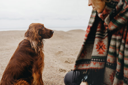 Swimming for Dogs: Benefits, Tips, and Safety Precautions