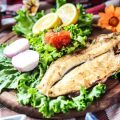 The Role of a Balanced Diet in Fish Health and Disease Prevention