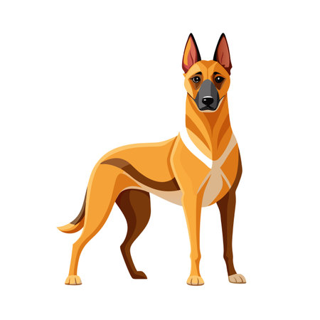 Introducing the Clicker to Your Dog