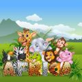 Creating a Stimulating Environment for Small Pets