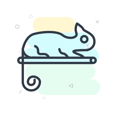 Types of Exercise for Small Pets