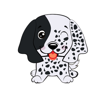 A Complete Guide to Nail Clippers and Grinders for Safe Pet Grooming