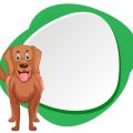 The Truth About By-Products in Pet Food: Are They Really Bad?